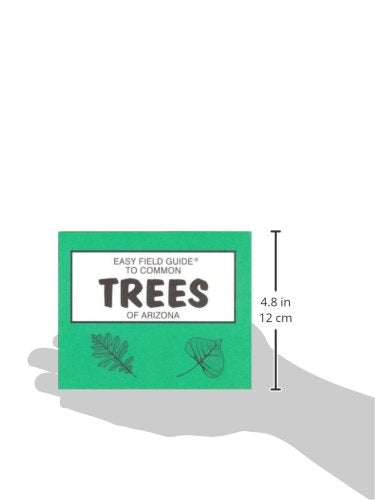 Easy Field Guide to Common Trees of Arizona - Wide World Maps & MORE!