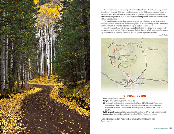 Scenic Drives: 100 of the Best Places to Explore Arizona by Car - Wide World Maps & MORE!