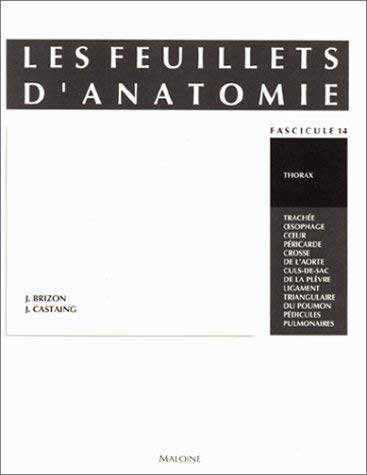 Les feuillets d'anatomie. Thorax [Paperback] - Wide World Maps & MORE!