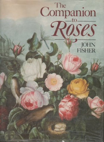 The companion to roses Fisher, John