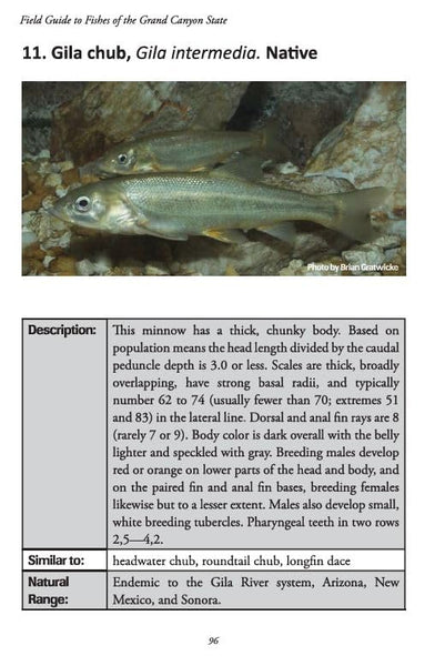 Field Guide to Fishes of the Grand Canyon State Paul C. Marsh, PhD and Robert W. Clarkson - Wide World Maps & MORE!