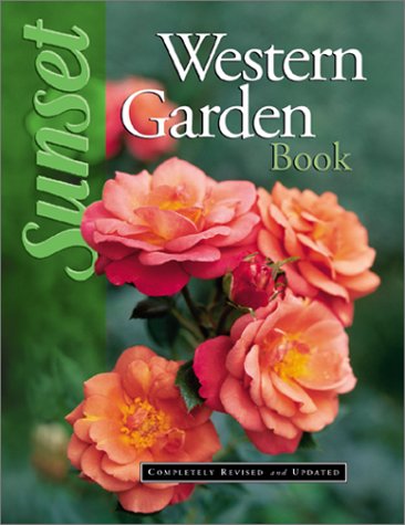 6532731