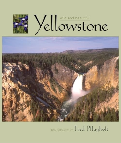 Yellowstone Wild and Beautiful [Hardcover] photography by Fred Pflugholt - Wide World Maps & MORE!