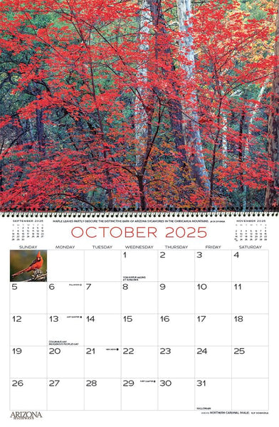 Arizona Highways 2025 Classic Wall Calendar Arizona Highways Contributors - Wide World Maps & MORE!