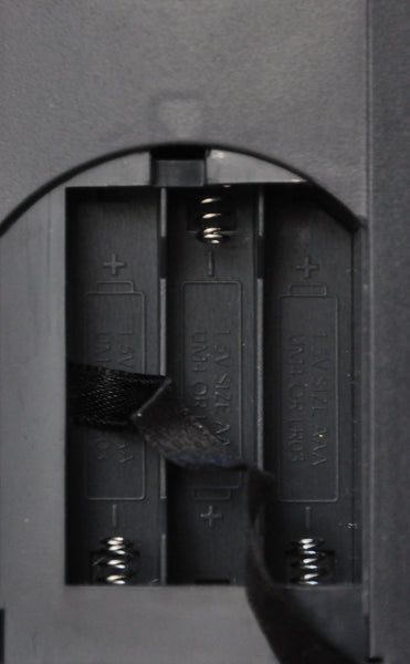 Bird Songs: 250 North American Birds in Song Les Beletsky and Jon L. Dunn - Wide World Maps & MORE!