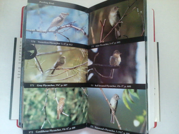 Field Guide to North American Birds--Western Region