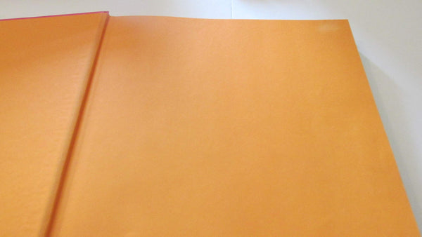 Miami Schezen, Roberto; Dunlop, Beth and Taschen Publishing - Wide World Maps & MORE!