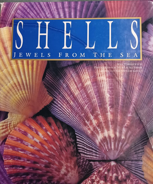 Shells M. G. Hawasewych