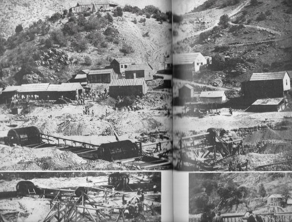 Picture Gallery Pioneers [Hardcover] Andrews, Ralph W. - Wide World Maps & MORE!