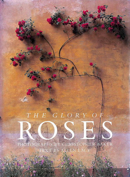 The Glory of Roses Lacy, Allen and Baker, Christopher - Wide World Maps & MORE!