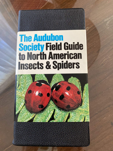 National Audubon Society Field Guide to North American Insects and Spiders [Imitation Leather] - Wide World Maps & MORE!