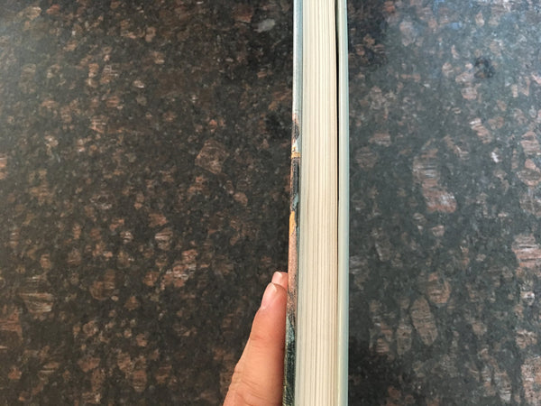 History of Slavery: An Illustrated History of the Monstrous Evil [Hardcover] Everett, Susanne - Wide World Maps & MORE!