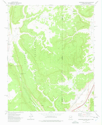 SURRENDER CANYON, Arizona - New Mexico (7.5'×7.5' Topographic Quadrangle) - Wide World Maps & MORE!