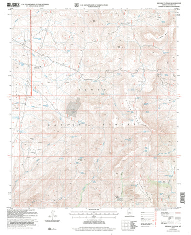 Brooklyn Peak, Arizona (7.5'×7.5' Topographic Quadrangle) - Wide World Maps & MORE! - Map - Wide World Maps & MORE! - Wide World Maps & MORE!
