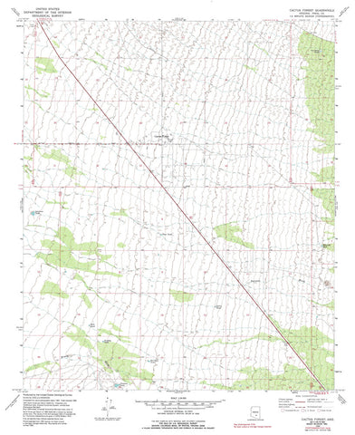 CACTUS FOREST, Arizona 7.5' - Wide World Maps & MORE! - Map - Wide World Maps & MORE! - Wide World Maps & MORE!