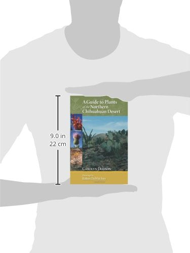 A Guide to Plants of the Northern Chihuahuan Desert - Wide World Maps & MORE! - Book - University of New Mexico Press - Wide World Maps & MORE!
