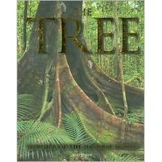 The Tree: Wonder of the Natural World [Hardcover] Jenny Linford - Wide World Maps & MORE!