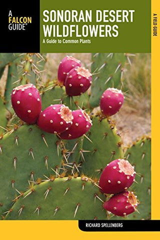 Sonoran Desert Wildflowers: A Guide To Common Plants (Wildflower Series) - Wide World Maps & MORE! - Book - Wide World Maps & MORE! - Wide World Maps & MORE!