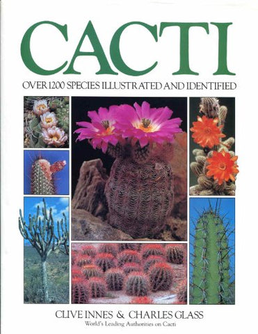 Cacti Glass, Innes - Wide World Maps & MORE!
