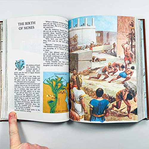The Children's Bible Deluxe Edition - Wide World Maps & MORE!