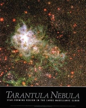 Tarantula Nebula: Star-Forming Region in the Large Magellanic Cloud Gloss Laminated - Wide World Maps & MORE! - Book - Wide World Maps & MORE! - Wide World Maps & MORE!