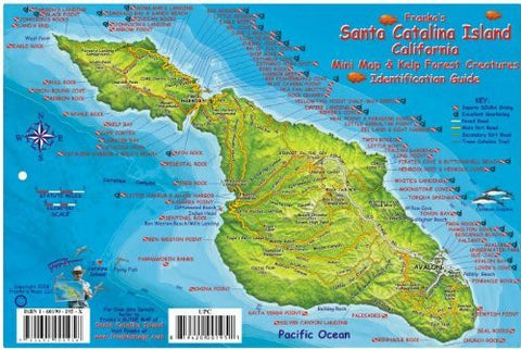 Santa Catalina Island Dive Map & Kelp Forest Creatures Guide Franko Maps Laminated Fish Card - Wide World Maps & MORE! - Book - Wide World Maps & MORE! - Wide World Maps & MORE!