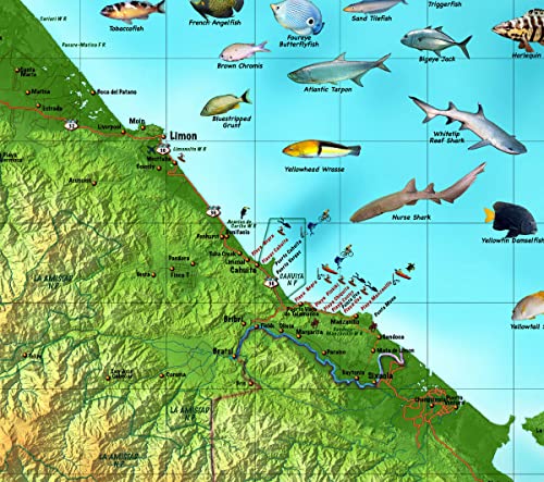 Decorative Costa Rica Wall Map *Laminated* small 22"x27.5" - Wide World Maps & MORE!