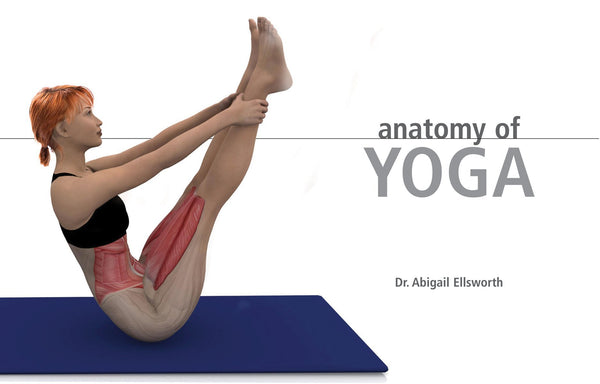Anatomy of Yoga: An Instructor's Inside Guide to Improving Your Poses - Wide World Maps & MORE!
