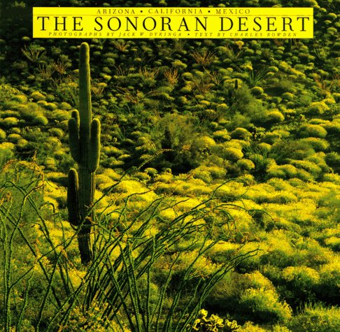Sonoran Desert - Wide World Maps & MORE!