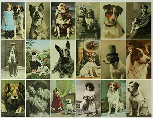 Postcard Dogs - Wide World Maps & MORE! - Book - Bloomsbury USA - Wide World Maps & MORE!