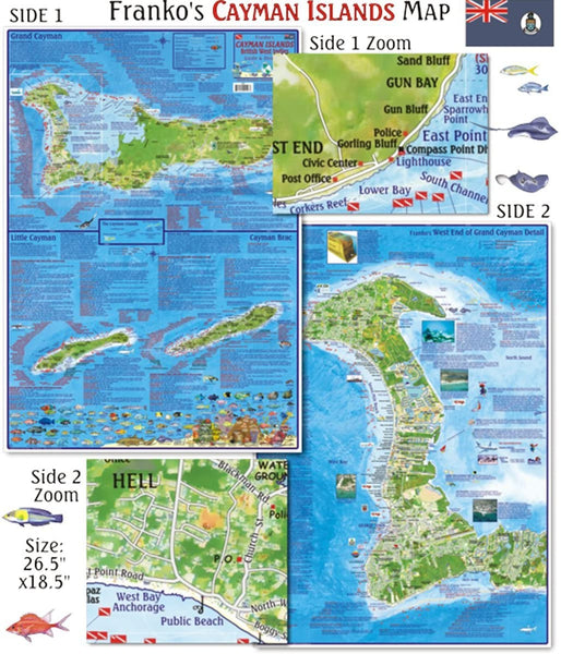 Franko Maps Cayman Islands Dive Creature Guide 18 X 26 Inch - Wide World Maps & MORE!