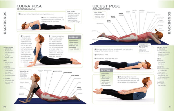 Anatomy of Yoga: An Instructor's Inside Guide to Improving Your Poses - Wide World Maps & MORE!