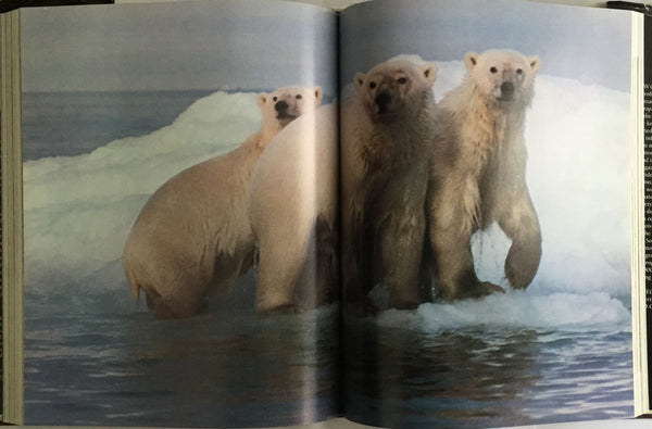 Wild Animals of North America Allen, Thomas B. - Wide World Maps & MORE!