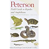 Sculpted by Ice: Glaciers and the Alaskan Landscape - Wide World Maps & MORE!