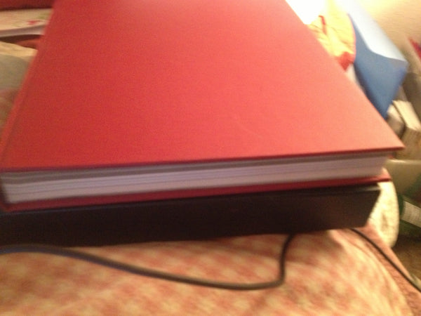 The Viking - Wide World Maps & MORE! - Book - Wide World Maps & MORE! - Wide World Maps & MORE!