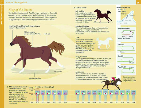 Dubai Marco Polo Handbook (Marco Polo Handbooks) - Wide World Maps & MORE! - Book - Ingramcontent - Wide World Maps & MORE!