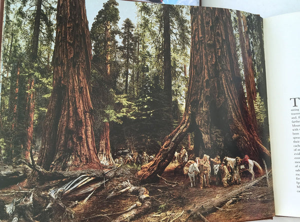 Paul Calle: An Artist's Journey Paul Calle; Pam Hait; James Dean and Ginger Renner - Wide World Maps & MORE!